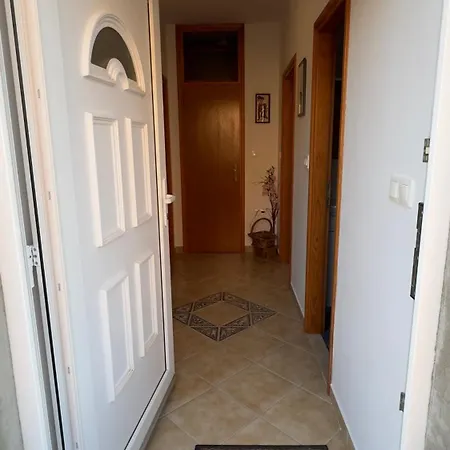 Maslina * 察夫塔特