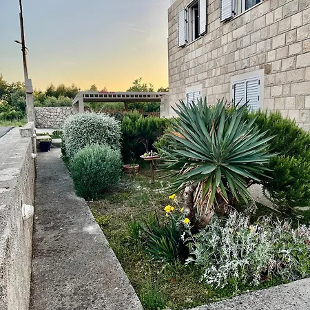Apartman Maslina