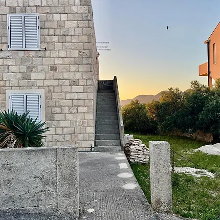 Apartmán Maslina